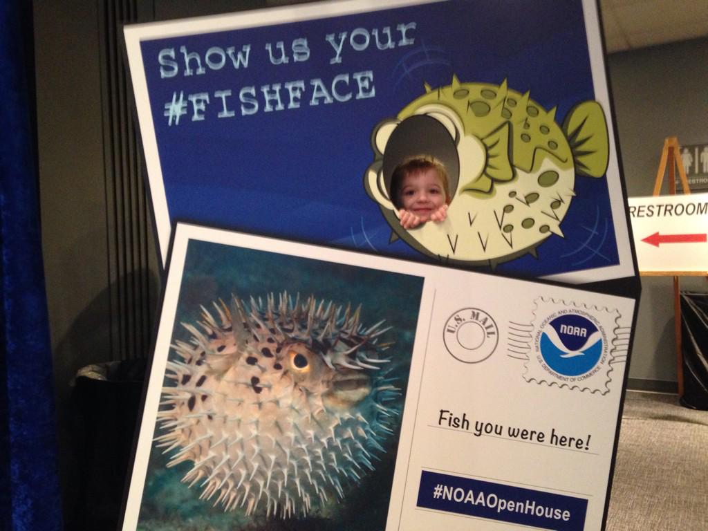 Emily Hamlin Smith tweet media