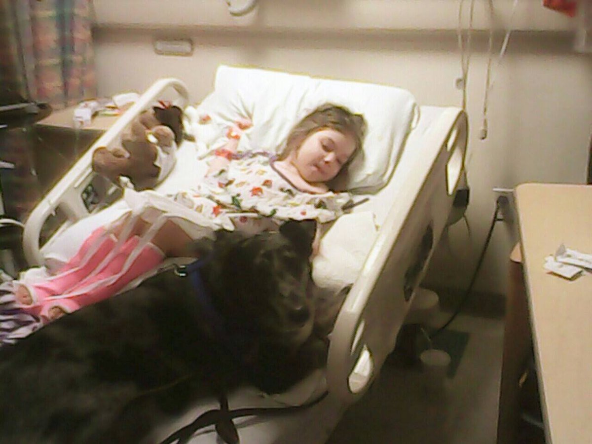 HelpJessicaWalk's tweet image. Pepper the therapy dog pays Jessica a visit @STLChildrens and makes her day!