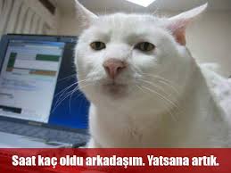 gamzel_gamzelim's tweet photo. o zaman iyi uykularrr :))) http://t.co/CeTYjP975S