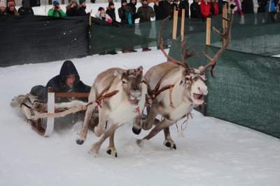 Enoo Sudlovenick tweet media