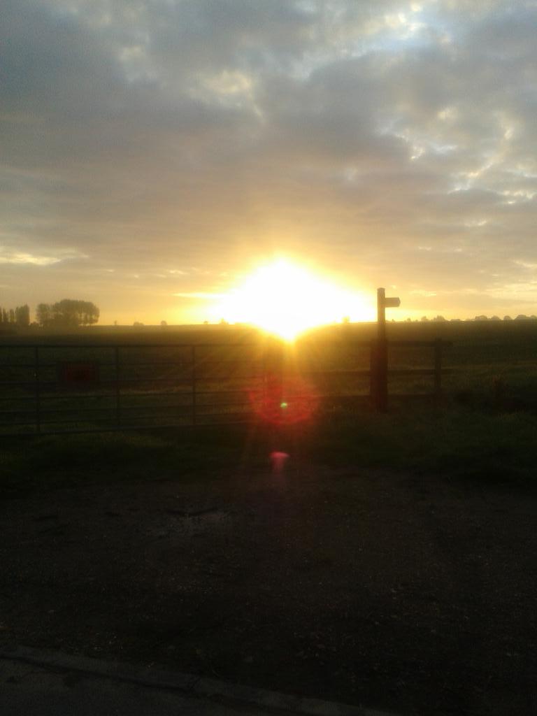 Welcome to Rookery Meadow!  A mystical, magical wonderland waiting for you to make it yours...