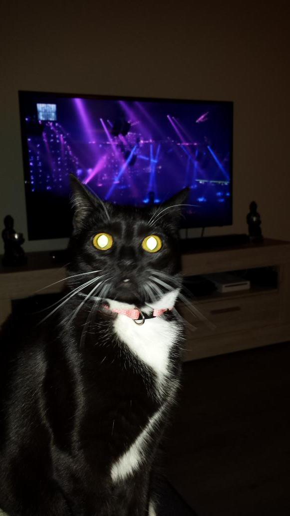 JesperVR's tweet photo. #HB15 Hardbass http://t.co/Q1QdqUU0im