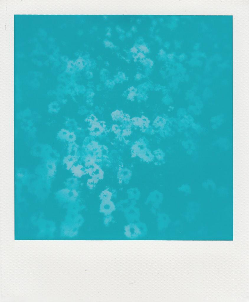 polaroid180's tweet photo. Have a great sunday!
#polaroid #impossible http://t.co/df7dveBCKH