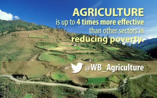 MphiweSiyalima's tweet photo. Statement by World Bank, what does it mean? http://t.co/vfPtLRdG3Q