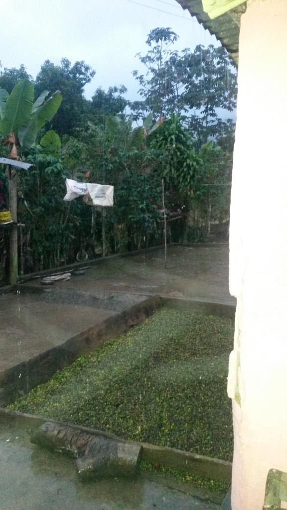 ManwilM's tweet image. 