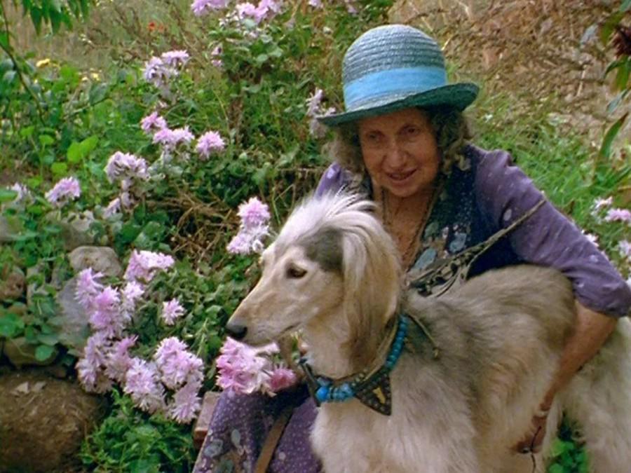 Ecochickie's tweet photo. Juliette de Bairacli Levy: Holistic Veterinary Pioneer, #Herbalist and Heroine for the Planet http://t.co/l8jRU2Hw0V http://t.co/vP0Pp2Fj1W
