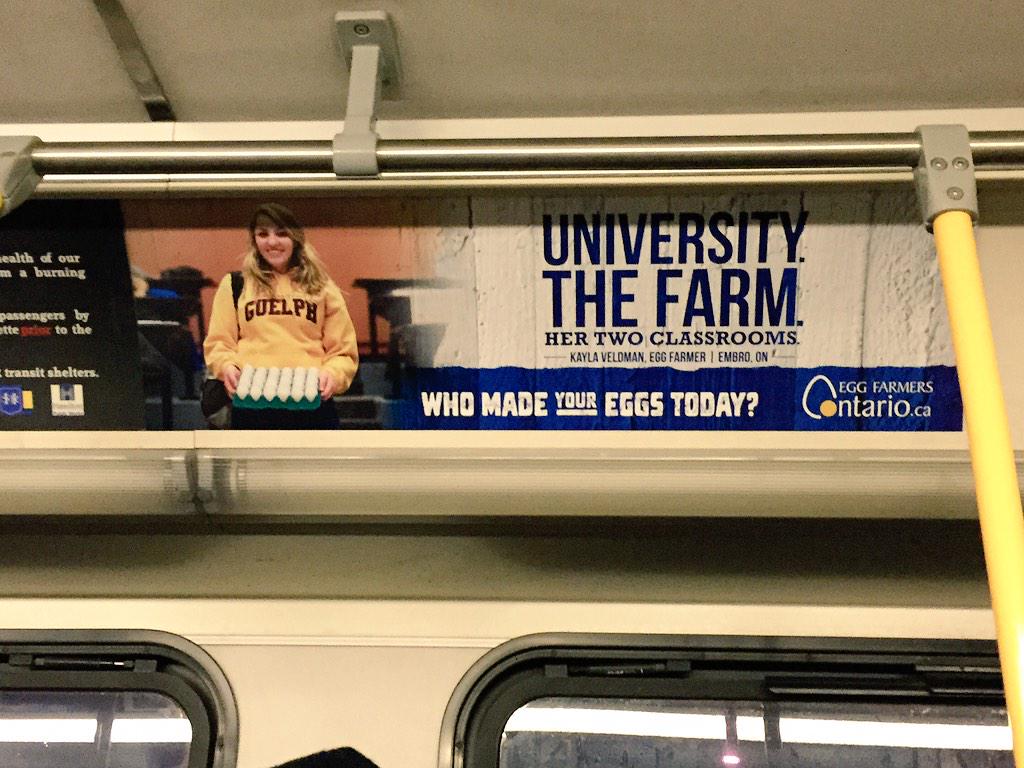 rukhimonster's tweet photo. And then Hamilton starts to feel homey... What up Guelph? #hamiltontransit 🐔 http://t.co/eLe1nMs6sw