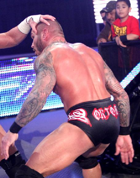Wwe gay sex