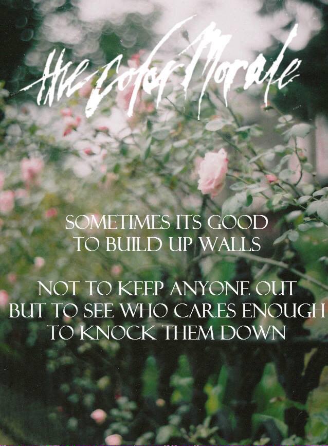 thecolormorale tweet picture