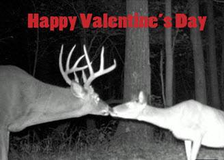 Zack Johnson’s pics and videos