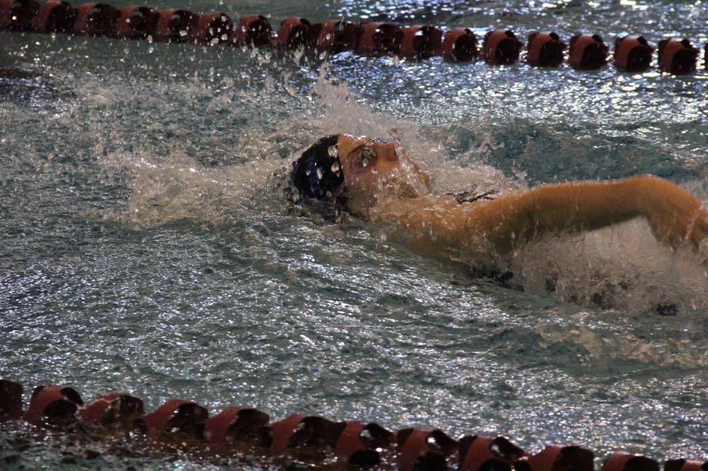 hensoemi's tweet photo. 💙Proud to represent Oak Ridge❤️ #orhsswim http://t.co/Ms7yul1mWM
