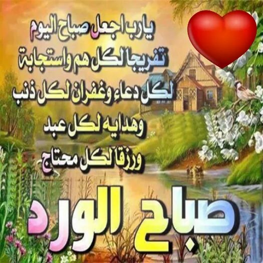 Abubaker Ahmed (@abubakr_mohd) on Twitter photo 
