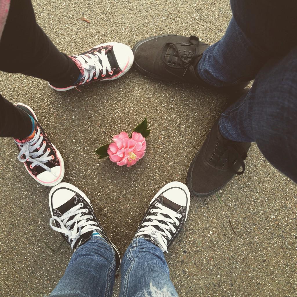 bianca0323's tweet image. 🌺