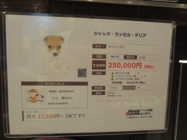 JJceeeeeez's tweet photo. ⑭命を売るっていいのかな？
　命を買うっていいのかな？ http://t.co/qOdSD5VzxD