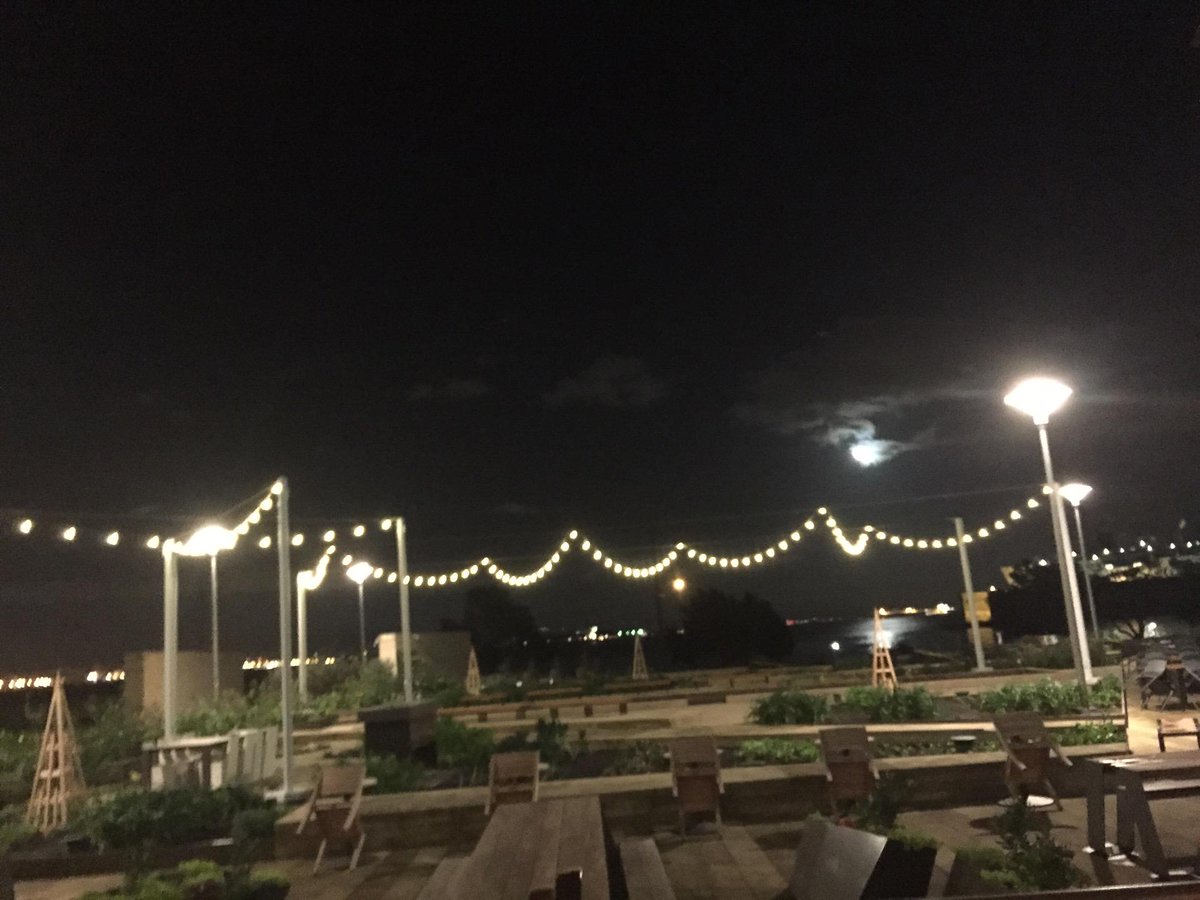 dining alfresco 🙌 (@ STEM Kitchen &amp; Garden - @stemsf in San Francisco, Calif) swarmapp.com/c/2594HumSJdl