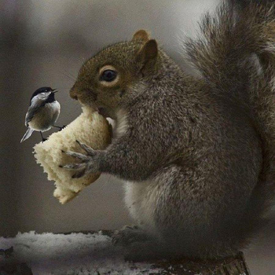 MATIASM97027089's tweet photo. @pintsize73 Good morning dear Marie✨hugs✨ http://t.co/gm1aY3tjg5