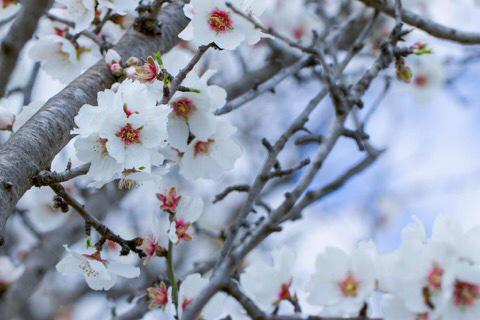 “@ViolettaCandita: @framignemi @LaFemmeduChef buona domenica e grazie per la condivisione 😘 ”#Expo2015 #InfoSicily”