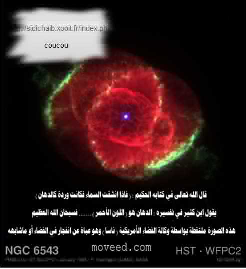 damigh1407's tweet photo. @Suet1405 
وردة كالدهــان
@Noon963 @Flushed_Cheek @Crescent__Shape @AppleJack_1979 
@hispanec http://t.co/0aZVgplTAb