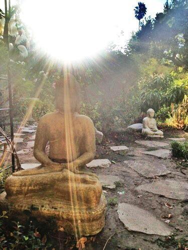 It's ok, life always moves forward.Namaste, this is a pic I took in Shay Sights backyard ;-) zen is easy