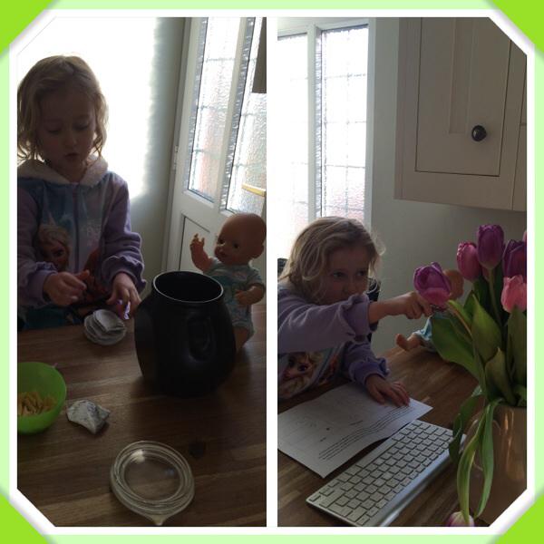 Enjoying estimating homework!