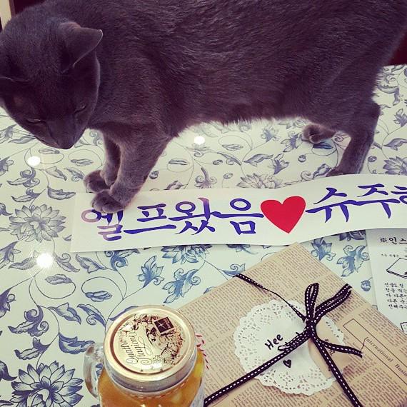 pikapik_a's tweet photo. the way of #BumBug ㅋㅋㅋㅋㅋ goodluck puppy 😂💕
#SiChul #woncin 's http://t.co/gRZ1rjX18l