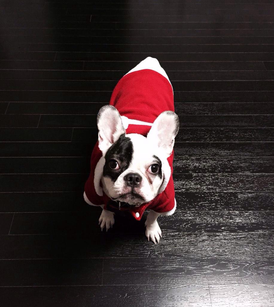 pikapik_a's tweet photo. the way of #BumBug ㅋㅋㅋㅋㅋ goodluck puppy 😂💕
#SiChul #woncin 's http://t.co/gRZ1rjX18l