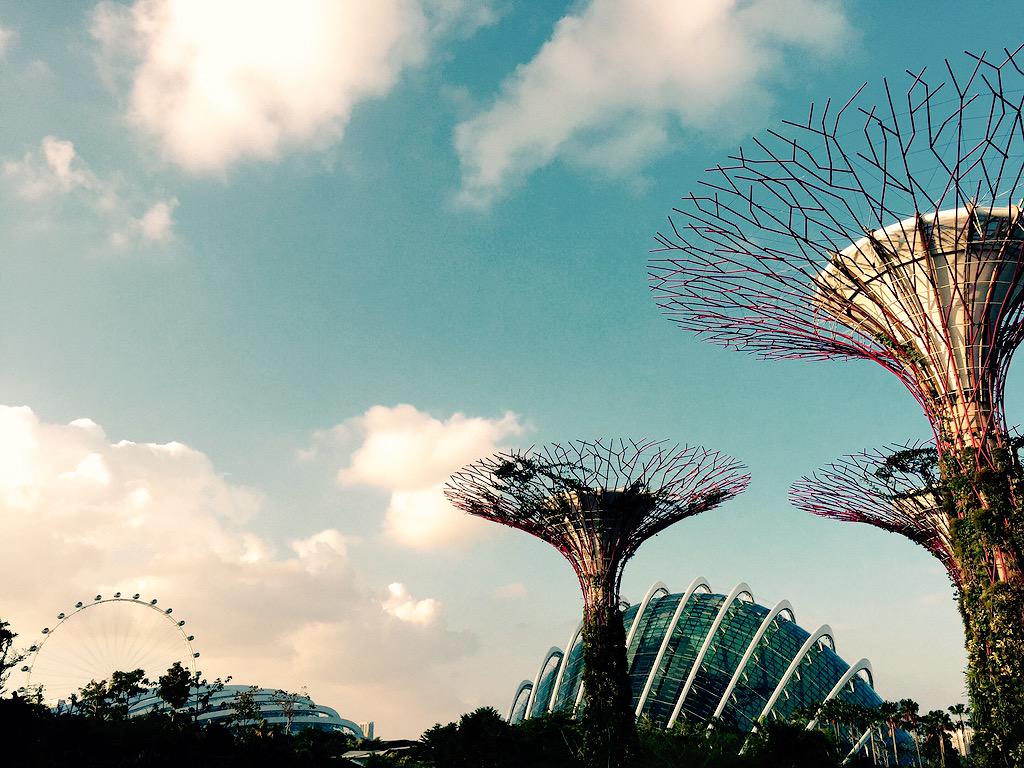 elynong's tweet photo. I love how photography is able to take my mind off certain things. #peaceatheart π #photography #Singapore http://t.co/U0Flzk6cLG