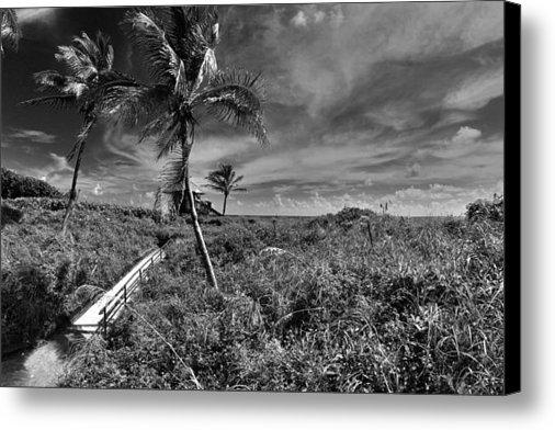 VortexGallery's tweet photo. New artwork for sale! - "Spanish River" - http://t.co/cOawzxblns @fineartamerica http://t.co/0vxmiZEJBN