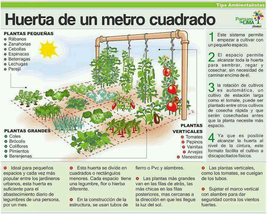 Ecogranjero's tweet photo. Como armar una huerta en un metro cuadrado http://t.co/72qLT5Pefn