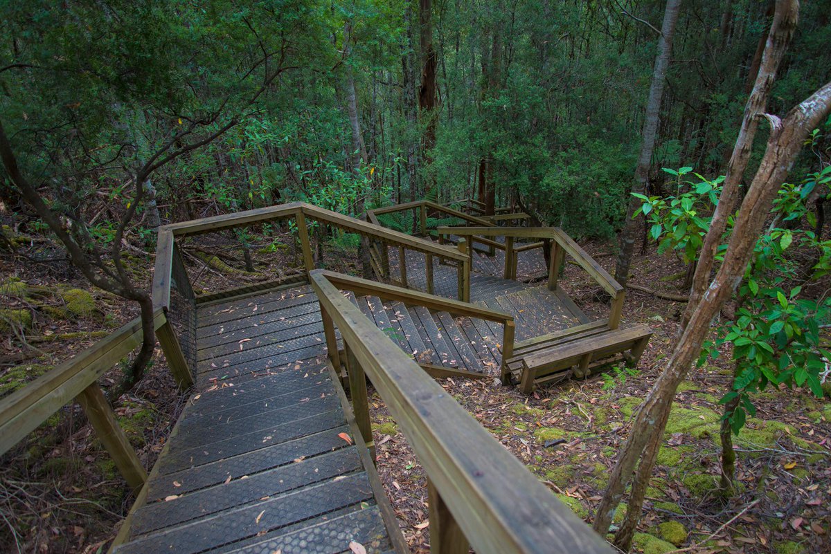 SmirksTas's tweet photo. I climbed a lot of stairs today. #MtFieldNP #Tasmania http://t.co/xahSP6fHSr