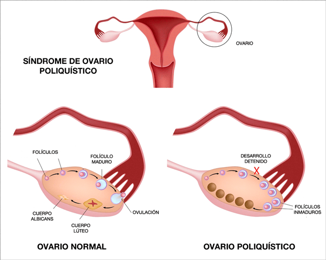medicusmeo tweet picture