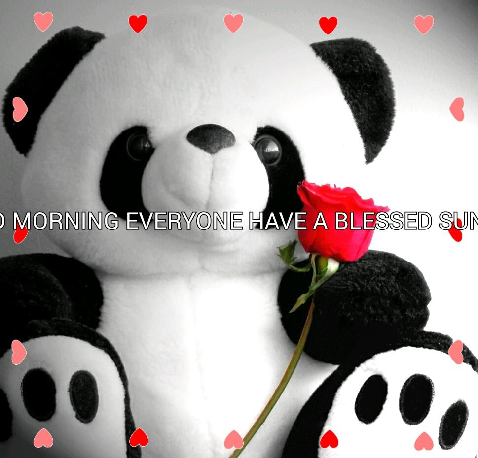 mials_t's tweet photo. GOOD MORNING EVERYONE HAVE A BLESSED SUNDAY 

---
Sent via Android Greeting Card.
http://t.co/LaRwCyq4pC http://t.co/DfsU0wjBUq