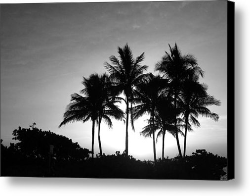 VortexGallery's tweet photo. New artwork for sale! - "7 Palms" - http://t.co/90oqS5BfCn @fineartamerica http://t.co/V47gGt5fKt
