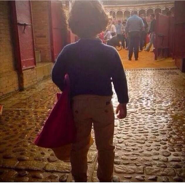 TauroCoberturas's tweet photo. #HoyesDomingoDeToros http://t.co/zQHzn26K8m