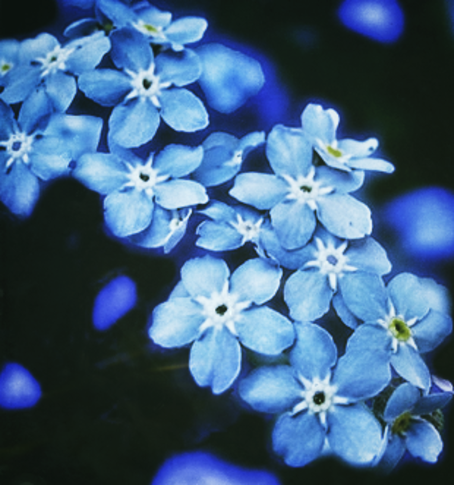 ALZHEIMERSread tweet picture