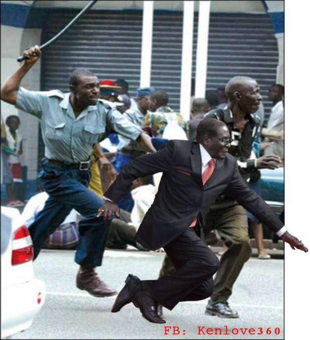 MalomeDons's tweet photo. #mogabefalls 😂😂😂😂 http://t.co/vk8ItjN6LK