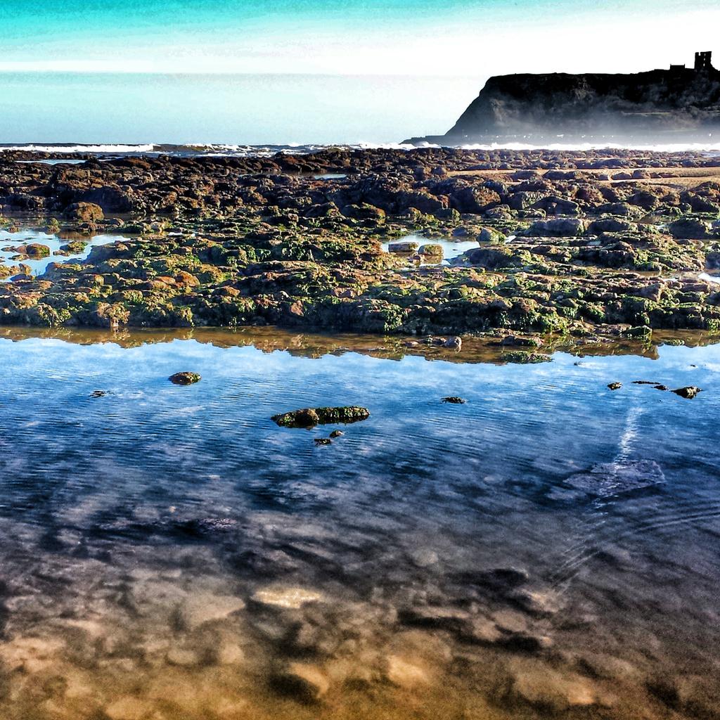 North Bay <a href="/Scarborough_UK/">Scarborough UK</a> <a href="/in_Scarborough/">In Scarborough</a> <a href="/ScarboroughUK/">Visit Scarborough</a> <a href="/w_scarborough/">WonderfulScarborough</a> @YorksCoastRadio <a href="/YorksCoastNews/">Yorkshire Coast News</a>