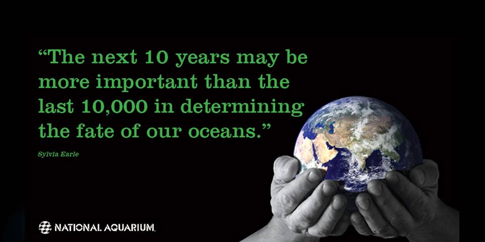 PlasticBank's tweet photo. The next 10 years may be more important than the last 10,000 for the fate of our oceans. http://t.co/aRofhfszDQ http://t.co/4mGeA28gQm