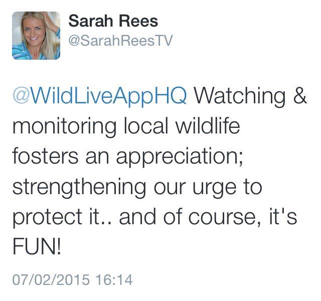WildLiveAppHQ's tweet photo. As research for #WildLive app we asked why it's important public get involved with monitoring wildlife #GreenTech2015 http://t.co/ds9yNwzfue