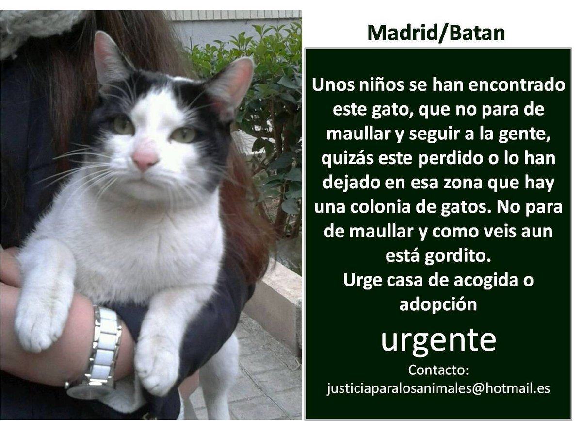 JusticiaPAT's tweet photo. a los que siguen las tendencias #LePasaAUnLector #LaFiestaDeLaDeshonra #Angelpregunta Urge acogida Madrid http://t.co/qjNLgUVHJG