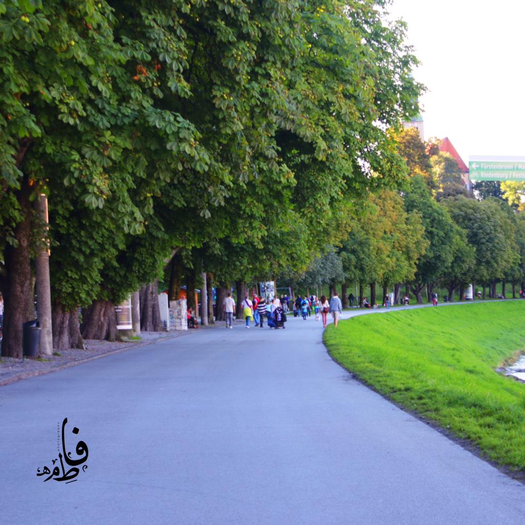 F6owmSh's tweet photo. @grp_ksa1 @BY_MY_CAM @photo_re @cameraty @almswer @mmgg070 @tswir @PHOTOAar @1mhd @Tecam_RE @photo_re
Insta ; FSH.94 http://t.co/rHtJ6mPiAB
