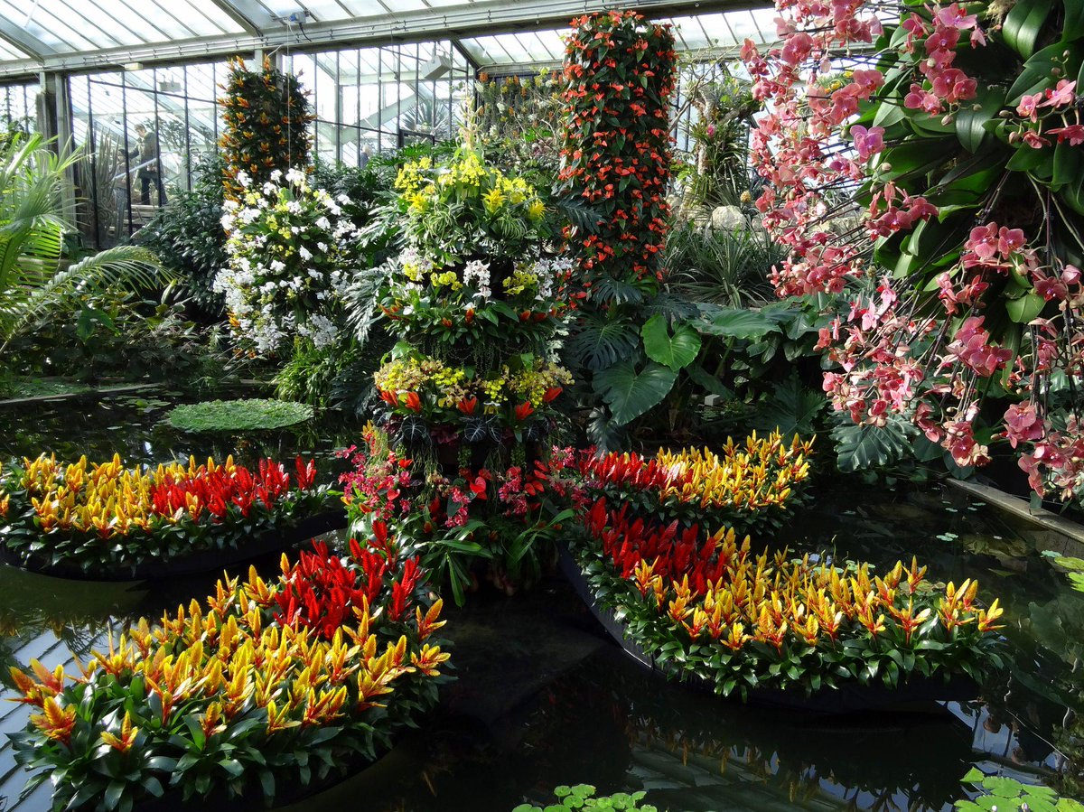 chibeba's tweet photo. Opening weekend of Alluring Orchids @kewgardens absolutely stunning. Current must-visit London attraction/exhibition. http://t.co/tofc2qG11H