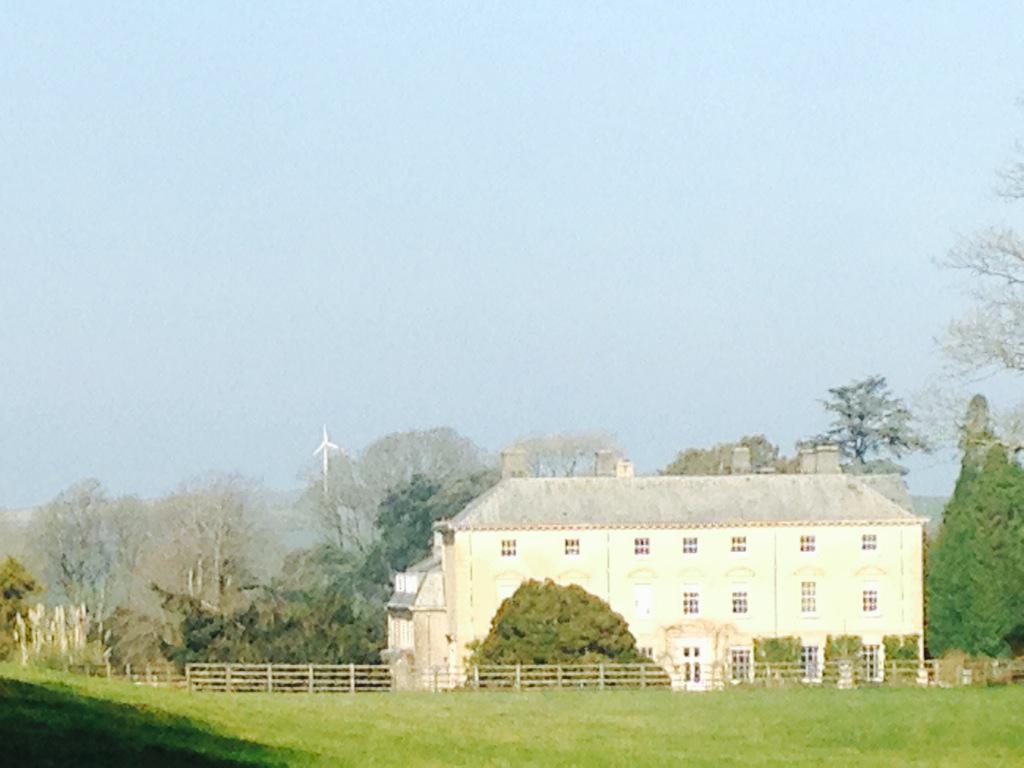 kirstienewton's tweet photo. @PencarrowHouse fabulous day for Snowdrop Sunday :) http://t.co/2uf18TVrIX