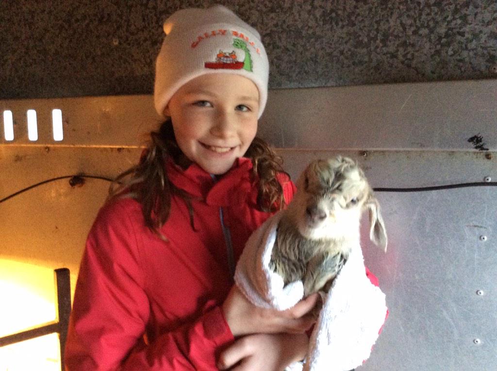 steveholiver's tweet photo. Exciting afternoon for Ruby helping to deliver 3 kid goats at #Ravenstar http://t.co/dB0EOsvZQw