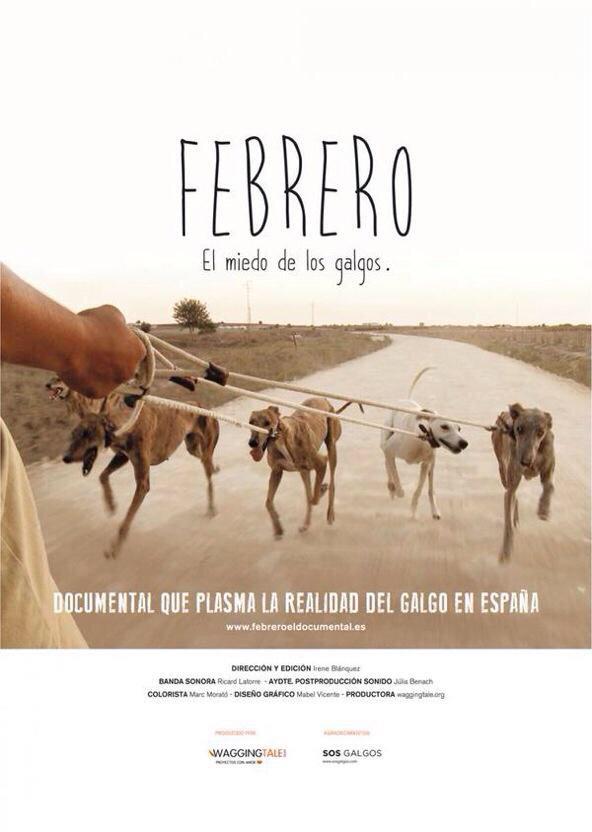 IgualdadAnimal's tweet photo. Ya puedes ver online el documental 'Febrero, el miedo de los #galgos' http://t.co/qhYONUHRk3 #NoAlMaltratoAnimal RT http://t.co/GERVyAM3o3
