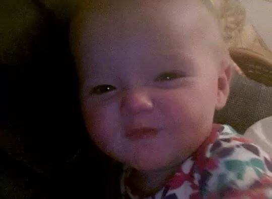 johnkbarley's tweet photo. Maccie only 7 months old n a character of her own http://t.co/LDMHP11zid