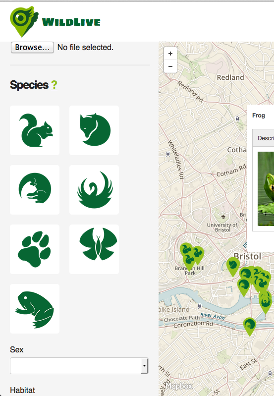 chrisquinnr's tweet photo. @WildLiveAppHQ Now let's showcase the great work done by @StarlightPixie2 on our icons #awesome #zazz #greentech2015 http://t.co/eQiC5u8zGR