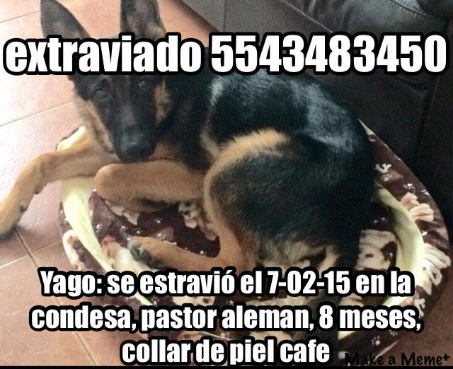 MonjOour's tweet photo. Plis regalen un RT y si conocen alguna asociación dígannos para que nos ayuden http://t.co/PI8gL6y3Nu