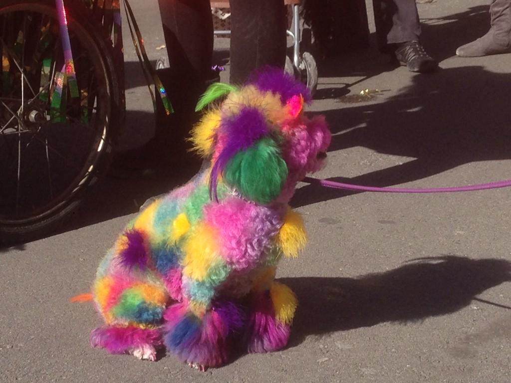 Jim Amoss tweet media