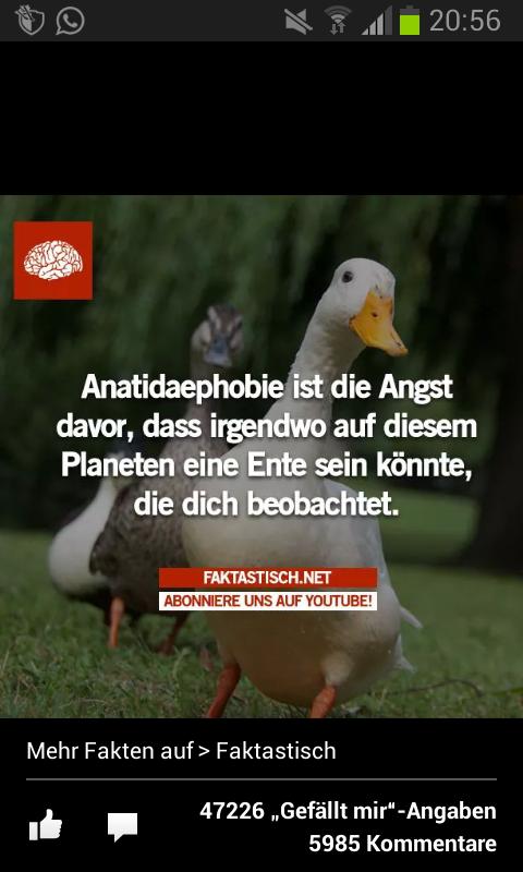 Wie soll man sich das vorstellen XD #Ente #beobachtet #dich